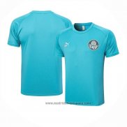 Camiseta de Entrenamiento Palmeiras 2023-2024 Verde