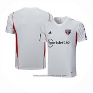 Camiseta de Entrenamiento Sao Paulo 2023-2024 Gris