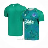 Camiseta Pre Partido del Everton Shamrock 2024 Verde