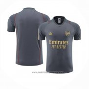 Camiseta de Entrenamiento Arsenal 2023-2024 Gris