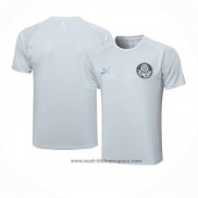 Camiseta de Entrenamiento Palmeiras 2023-2024 Gris