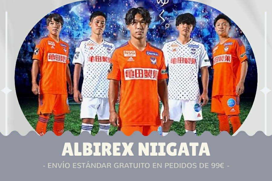 Camiseta Albirex Niigata barata 2024-2025