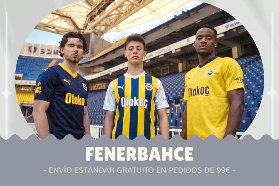 Camiseta Fenerbahce barata 2024-2025