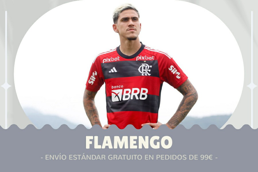 Camiseta Flamengo barata 2024-2025