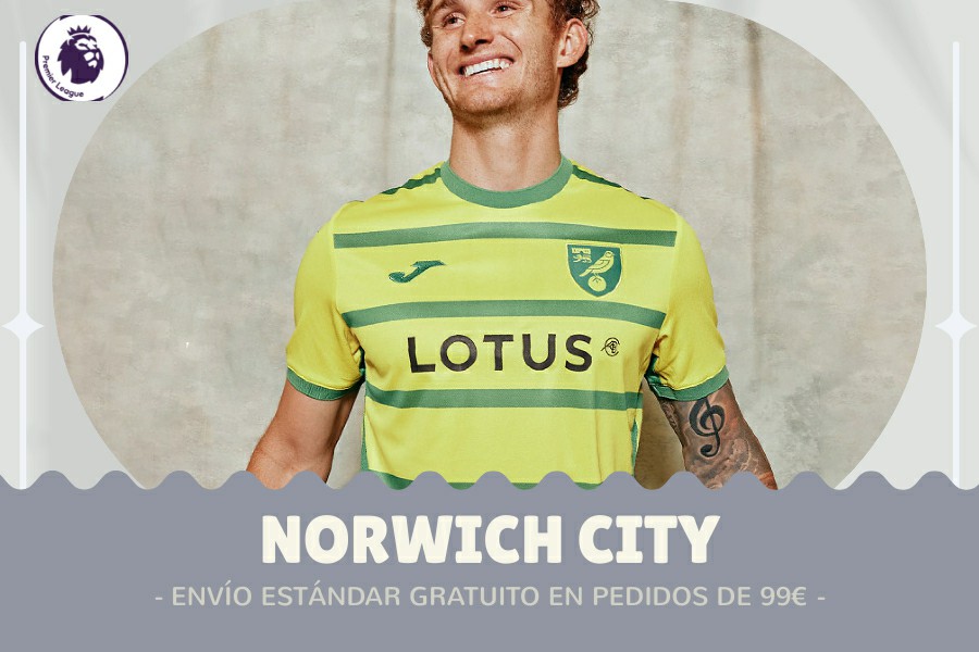 Camiseta Norwich City barata 2024-2025