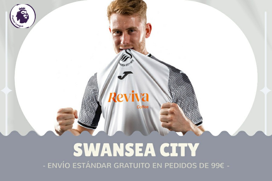 Camiseta Swansea City barata 2024-2025